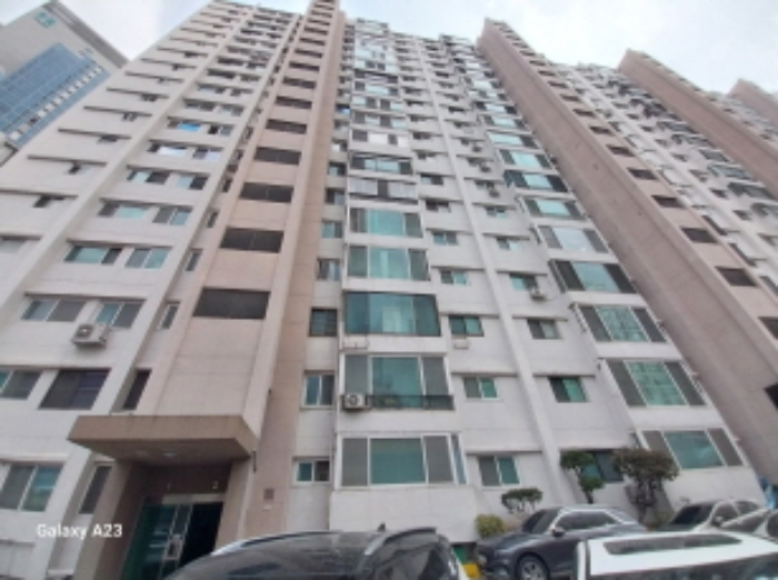 점보 단지 사진